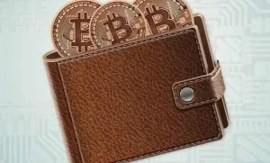 狐狸钱包：安全便捷的加密货币钱包应用